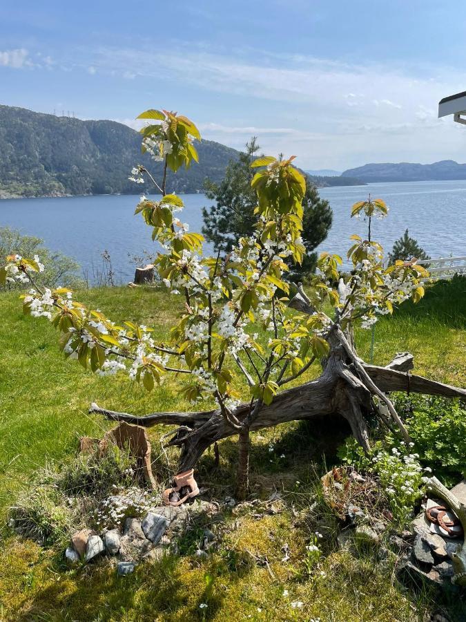 Langenuen Motel & Camping Stord Dış mekan fotoğraf